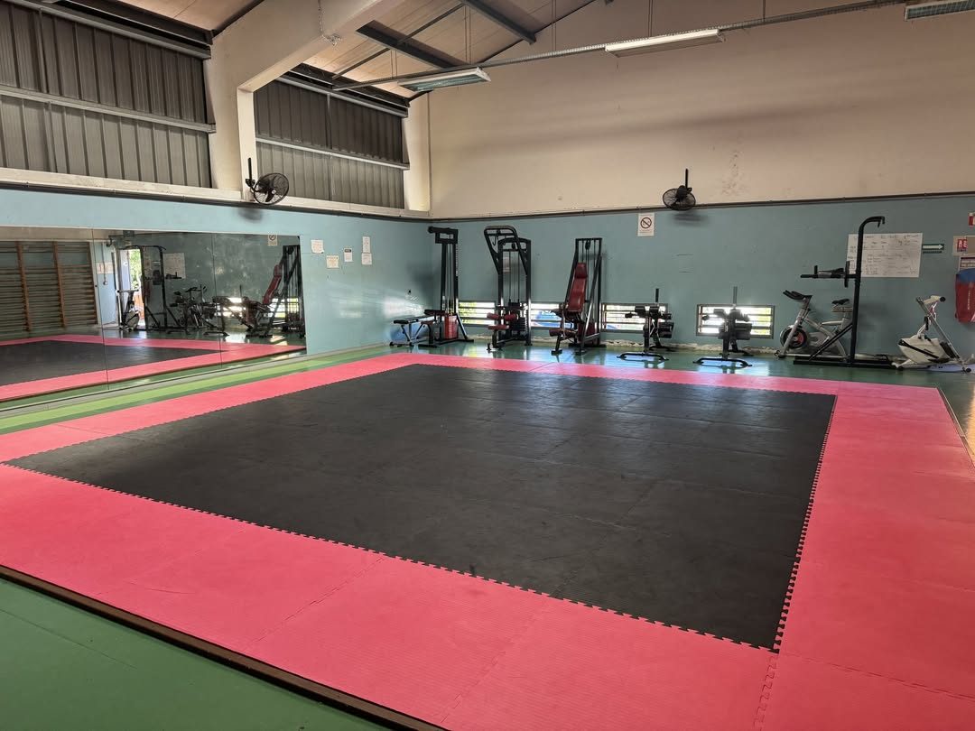 Salle de sport avec tapis